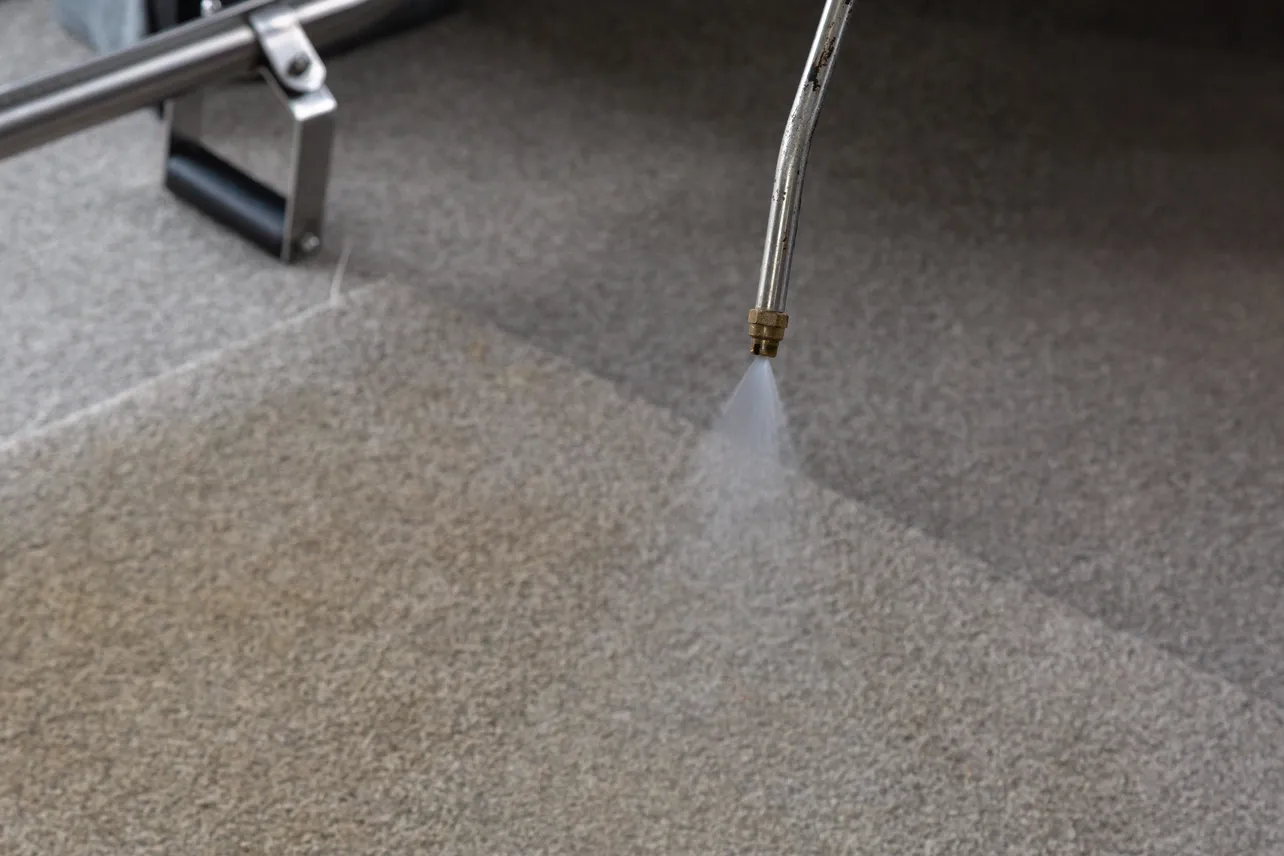 Auckland Carpet Clean